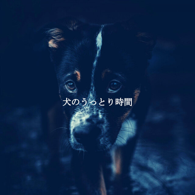 犬のうっとり時間