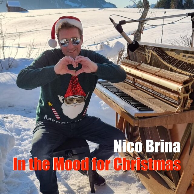 In the Mood for Christmas
