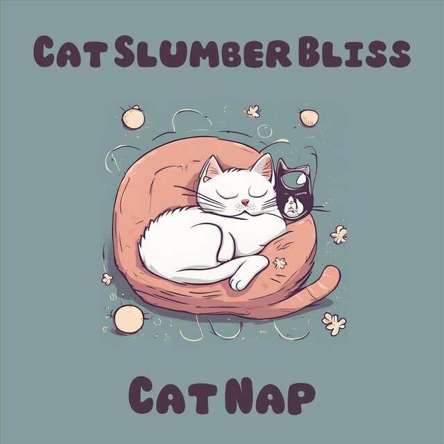 Cat Slumber Bliss