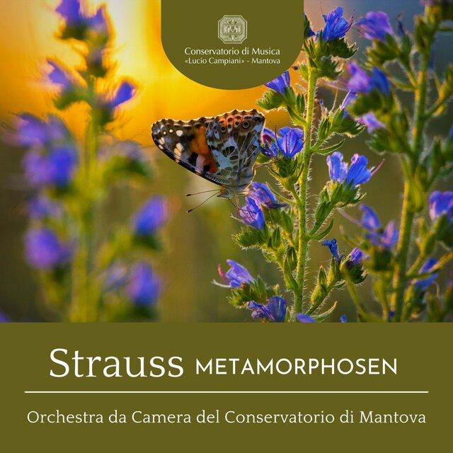 Strauss: Metamorphosen, TrV 290 (Study for 23 String Instruments)
