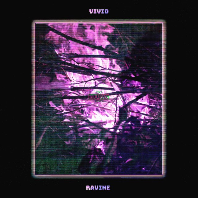 Vivid