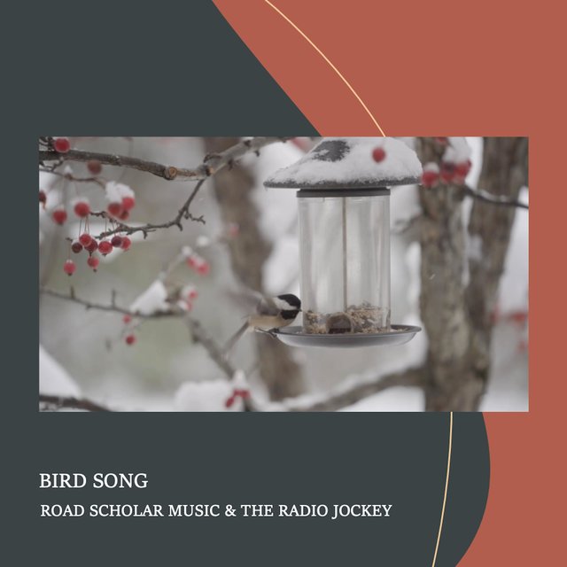 Bird Song