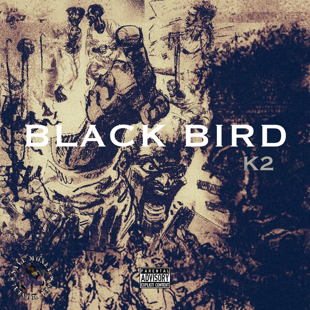 Black Bird