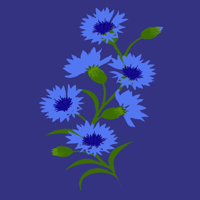 Bloom