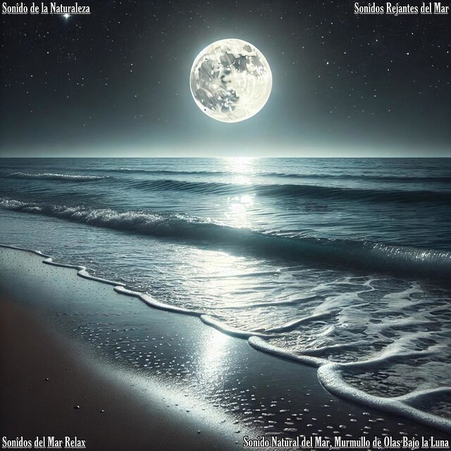Sonido Natural del Mar, Murmullo de Olas Bajo la Luna