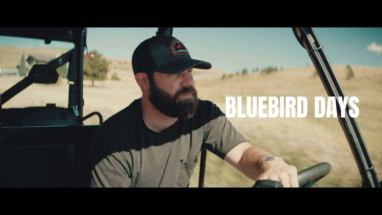 Bluebird Days