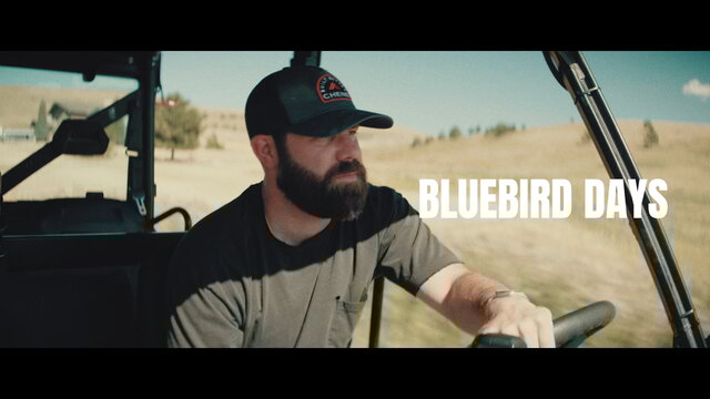 Bluebird Days