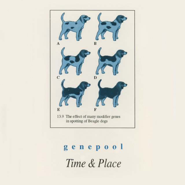 Time & Place