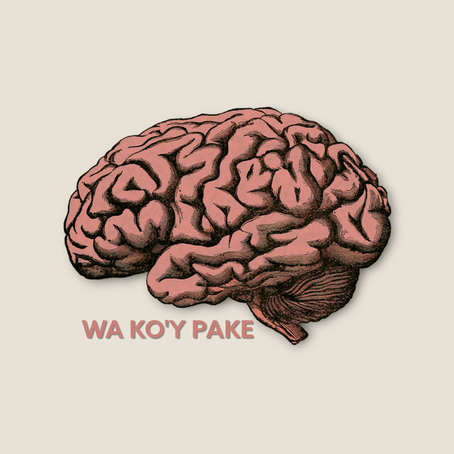 Wa Ko'y Pake
