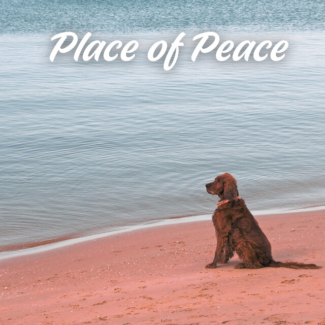 Place of Peace