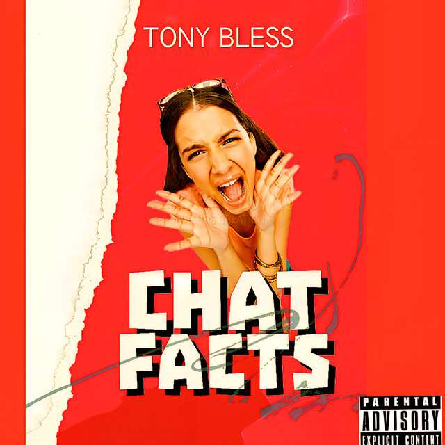 Chat Facts