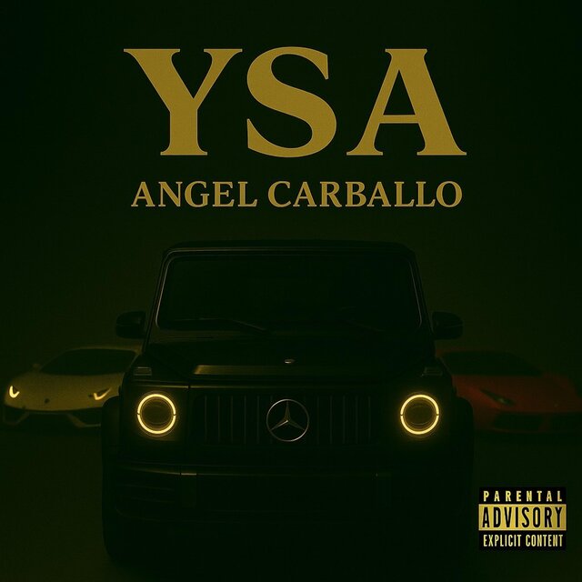 YSA