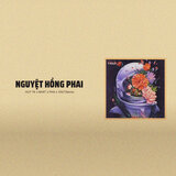 Nguyệt Hồng Phai (Remix) [Beat]