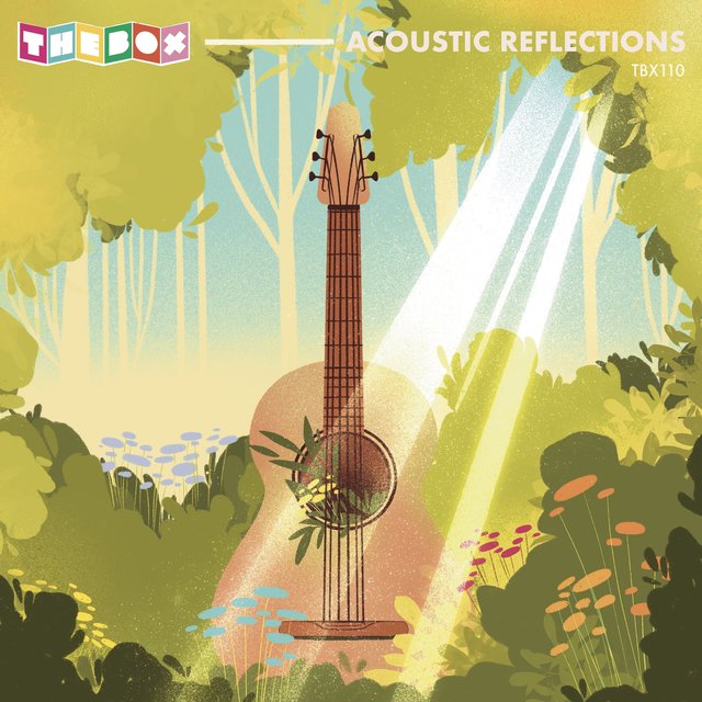 Acoustic Reflections