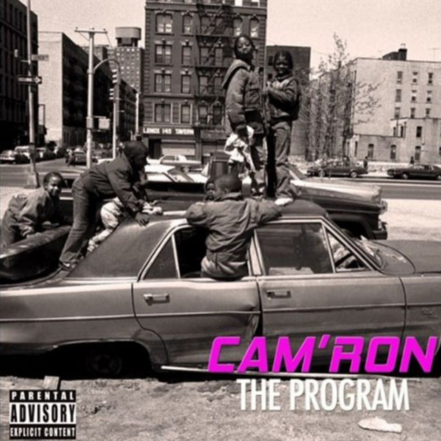 The Program