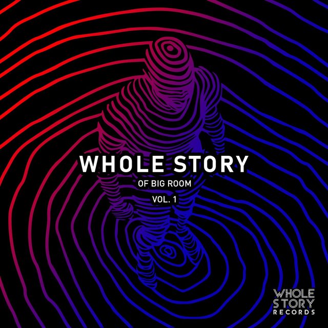 Whole Story Of Big Room Vol. 1