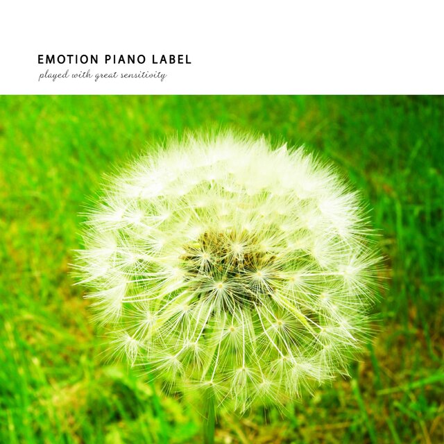 Healing Piano Collection to Heal Your Mind
