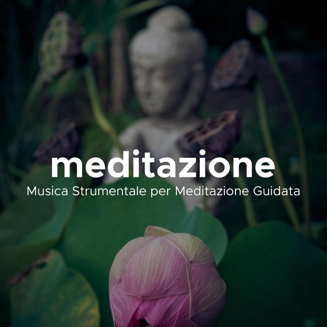 Meditazione - Musica Strumentale per Meditazione Guidata, Suoni della Natura