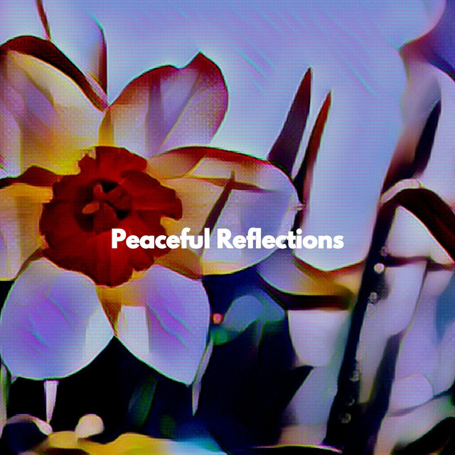 Peaceful Reflections