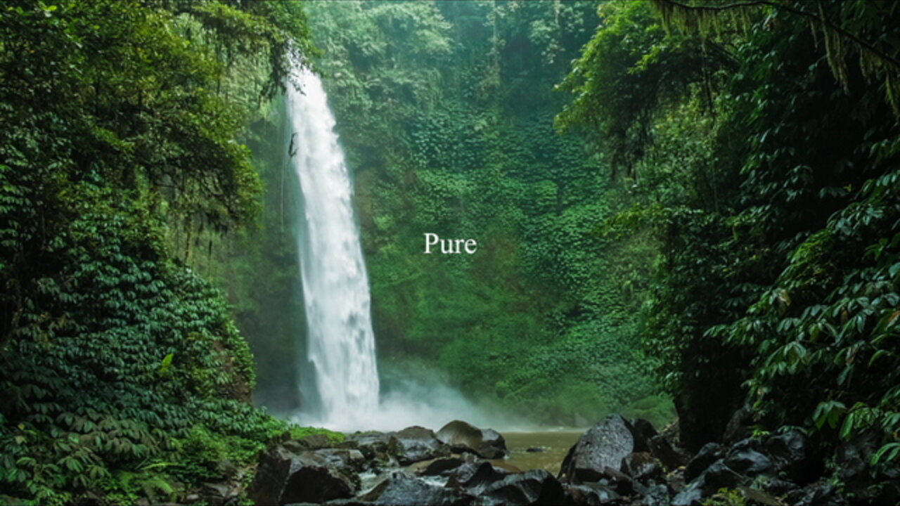 Pure (Lyric Video)