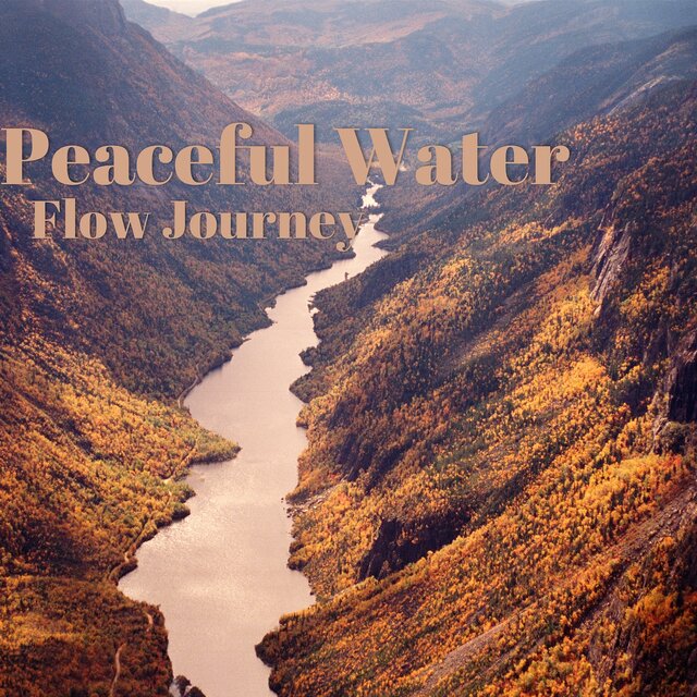 Peaceful Water Flow Journey