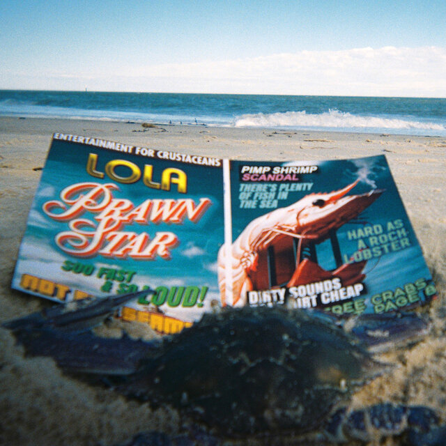 Cover art for album PRAWN STAR by LOLA