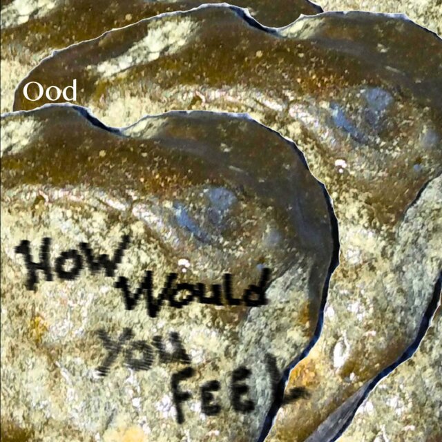 How Would You Feel