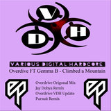 Climbed A Mountain (Pursuit Remix)
