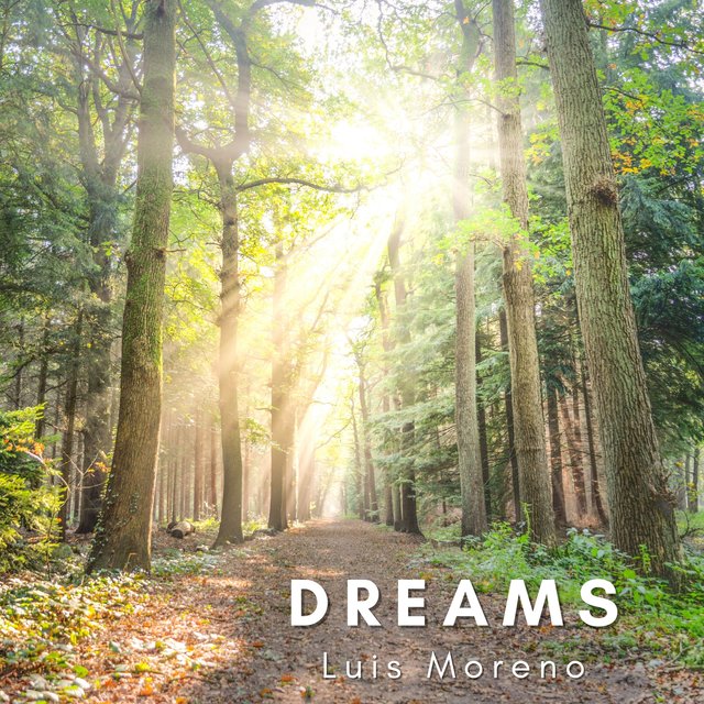 Dreams