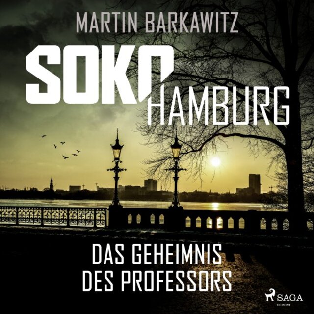 Soko Hamburg: Das Geheimnis des Professors (Ein Fall für Heike Stein, Band 9)