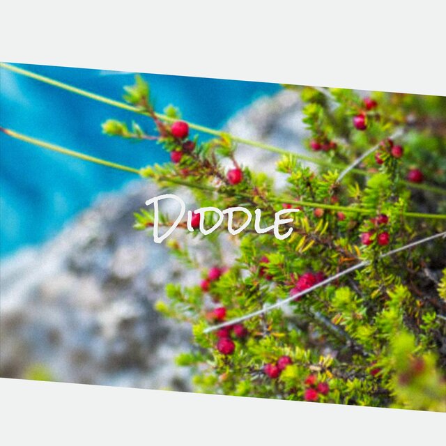 Diddle