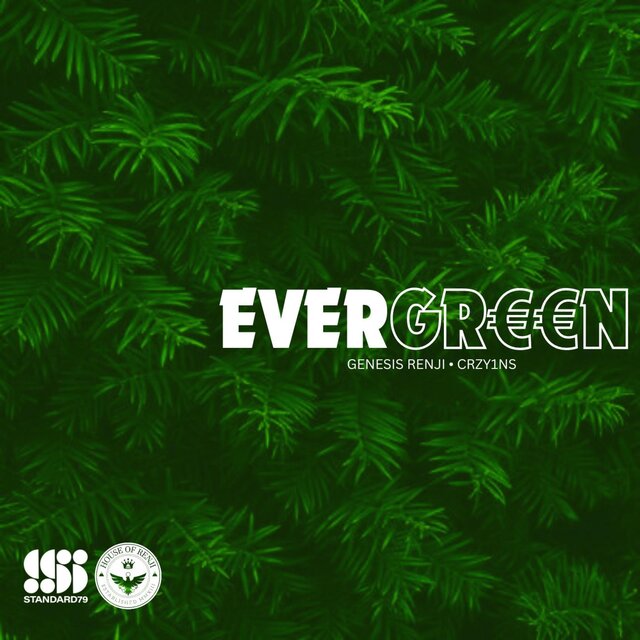 Evergreen