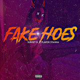 Fake Hoes