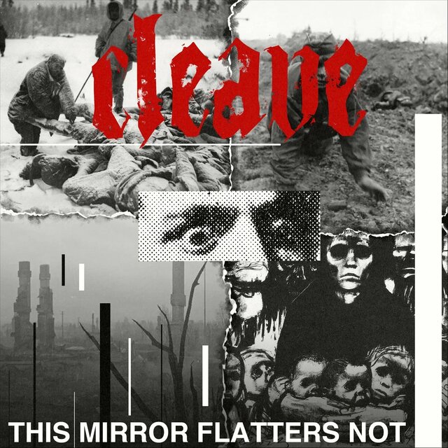 This Mirror Flatters Not