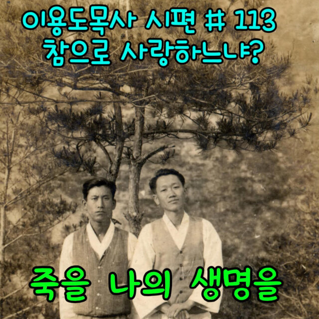 참으로 사랑하느냐?