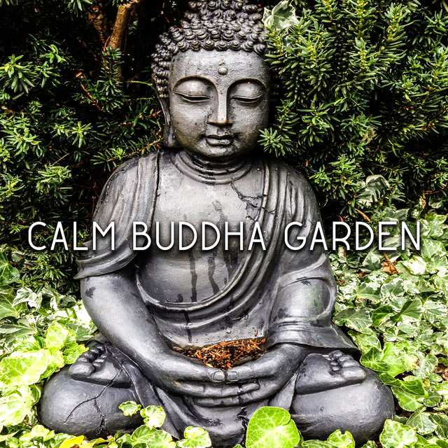 Calm Buddha Garden (Learn to Deep Relax and Find Serenity Zone)