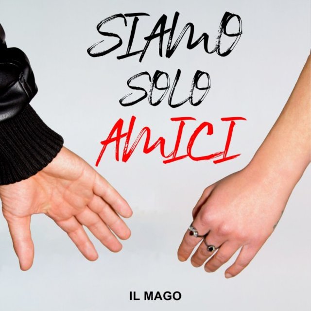 Siamo solo amici