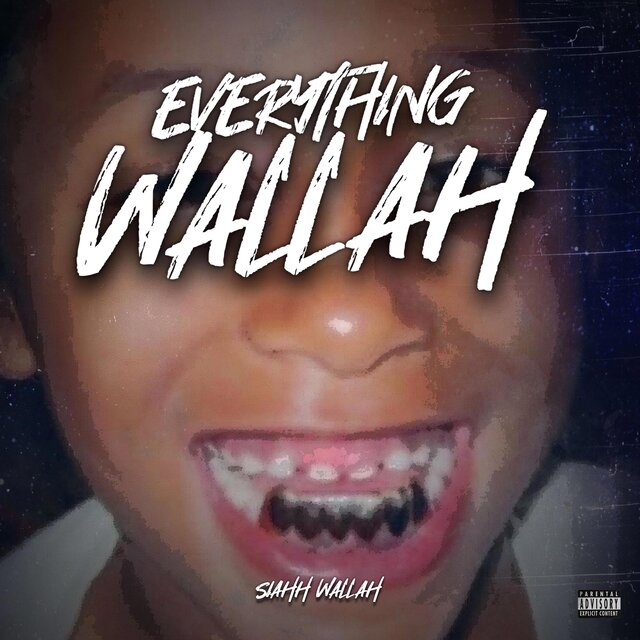 EVERYTHING WALLAH