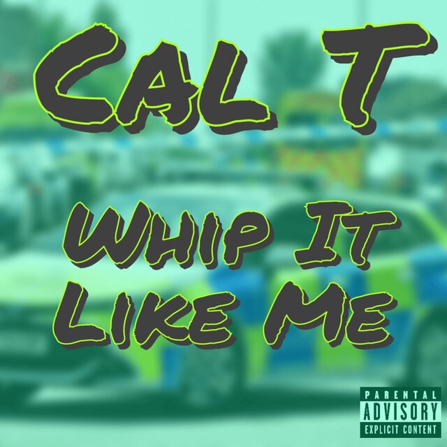 Whip It Like Me