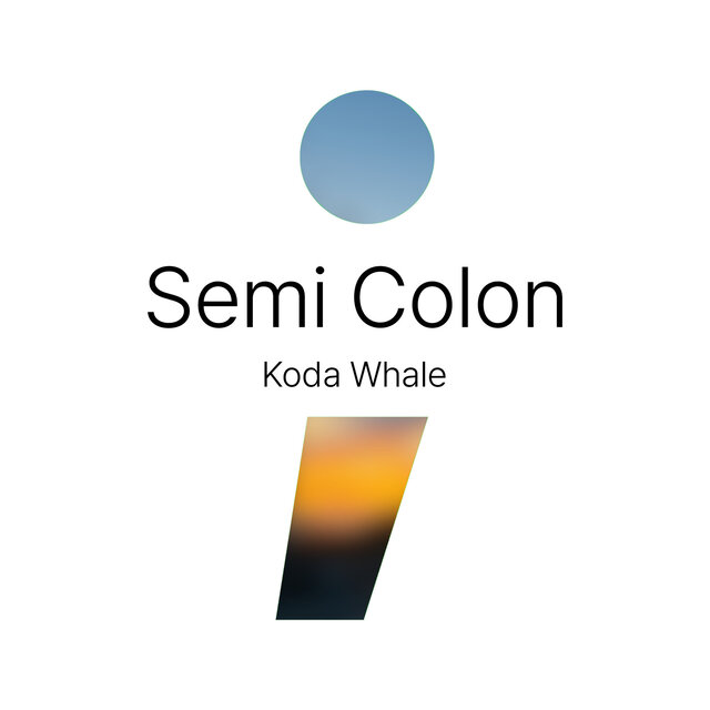 Semi Colon
