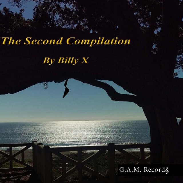 The Second Compilation