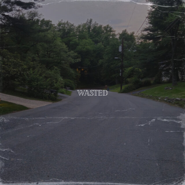 WASTED