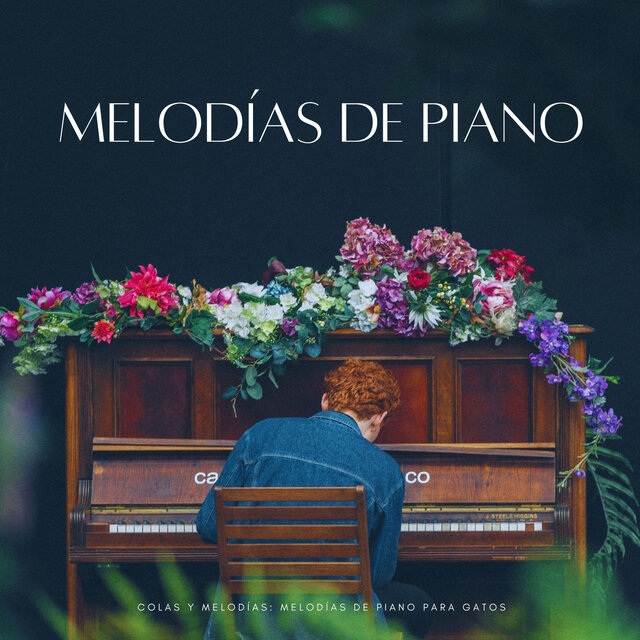 Colas Y Melodías: Melodías De Piano Para Gatos
