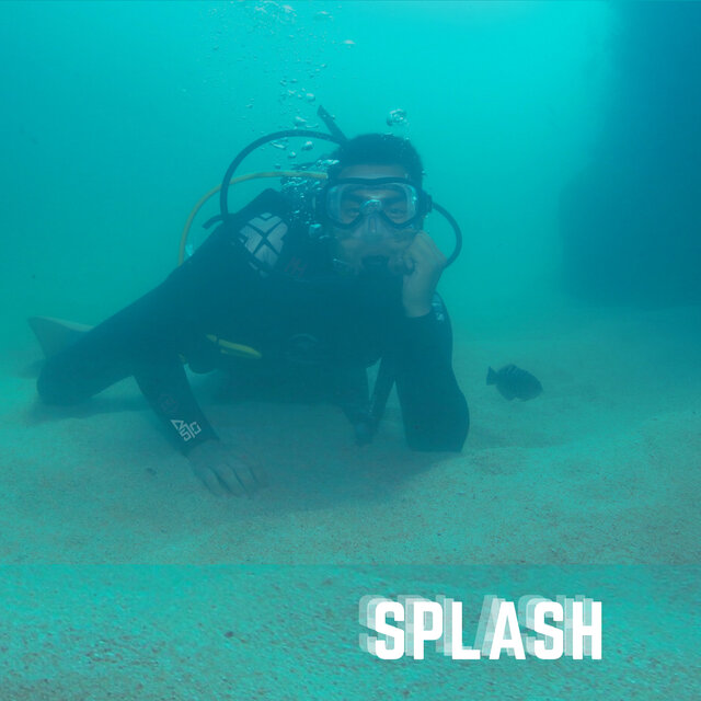 Splash