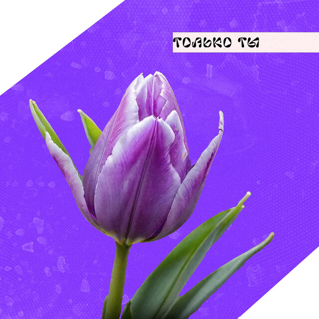 только ты