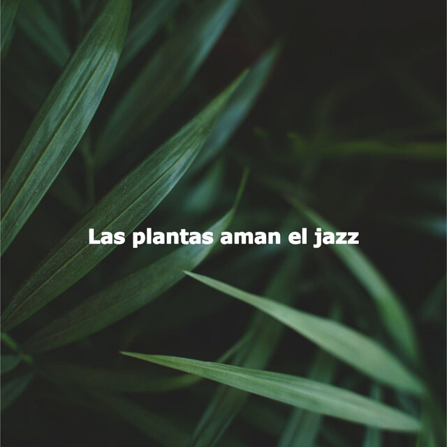 Las plantas aman el jazz