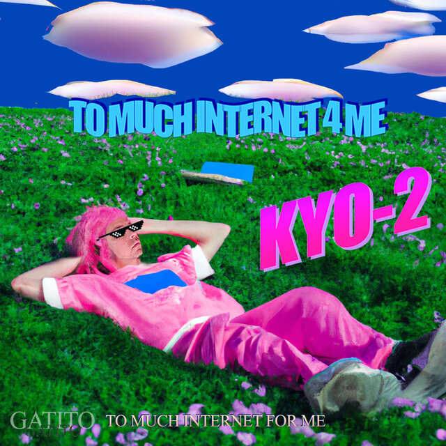 t o m u c h i n t e r n e t 4 m e