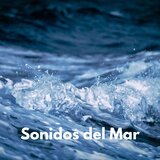 Sonidos Del Mar, Pt. 08