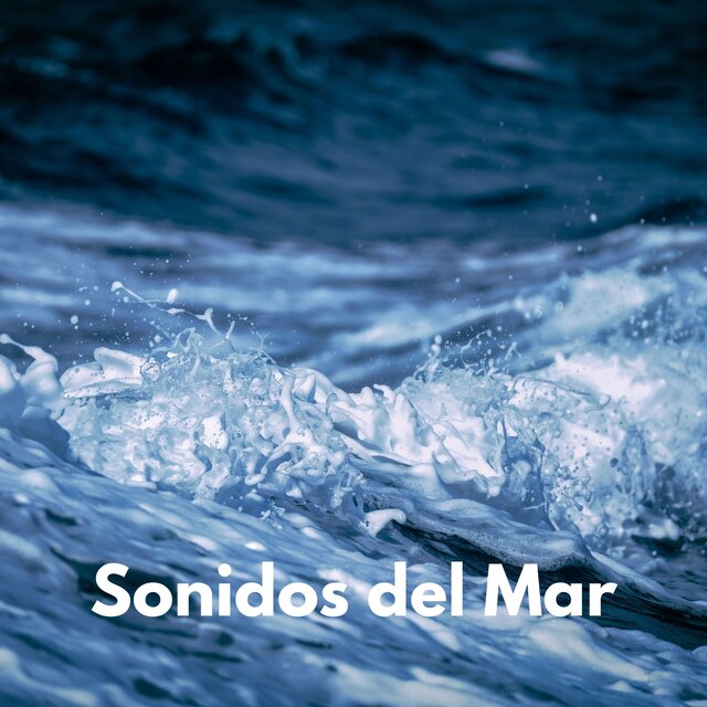 Sonidos Del Mar