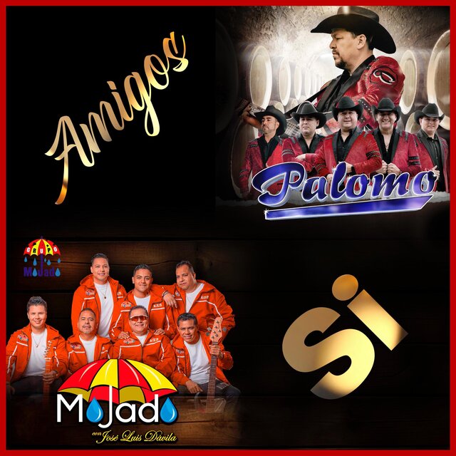 Amigos Si